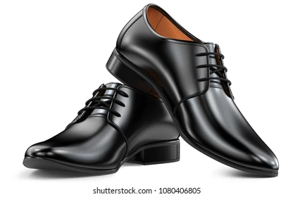 Black Shoe